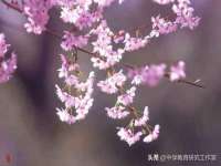 成都余盛源网络科技工作室