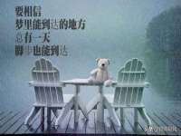 成都余盛源网络科技工作室