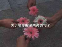 成都余盛源网络科技工作室