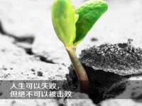 成都余盛源网络科技工作室