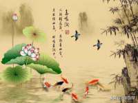 成都余盛源网络科技工作室