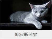 成都余盛源网络科技工作室