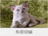 成都余盛源网络科技工作室