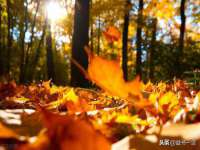 成都余盛源网络科技工作室