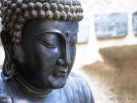 成都余盛源网络科技工作室