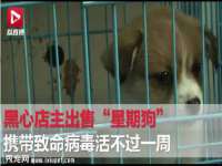 成都余盛源网络科技工作室
