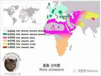 成都余盛源网络科技工作室