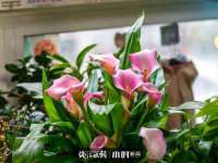 成都余盛源网络科技工作室