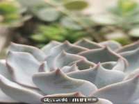 成都余盛源网络科技工作室