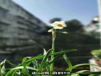 成都余盛源网络科技工作室