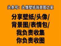 成都余盛源网络科技工作室