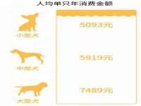成都余盛源网络科技工作室