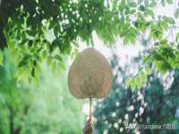 成都余盛源网络科技工作室