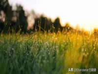 成都余盛源网络科技工作室