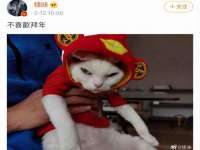 成都余盛源网络科技工作室